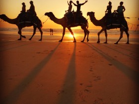 thing-75-take-a-walk-in-paradise-the-abel-tasman-national-park